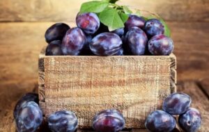 ایران در جایگاه ششم تولید جهانی آلو؛ ارزش ۱.۳ میلیارد دلاری صادرات آلو تازه ایران در جایگاه ششم تولید جهانی آلو؛ ارزش ۱.۳ میلیارد دلاری صادرات آلو تازه