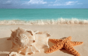 تور هوایی قشم نوروز ۱۴۰۱ (جدول) تور هوایی قشم نوروز ۱۴۰۱ (جدول)