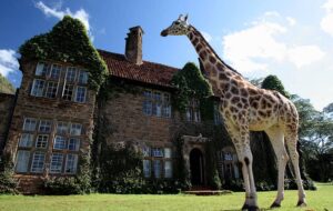 تور کنیا نوروز ۱۴۰۱ (جدول قیمت) تور کنیا نوروز ۱۴۰۱ (جدول قیمت)