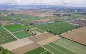 رفع تداخلات شرط اساسی صدور سند اراضی کشاورزی است رفع تداخلات شرط اساسی صدور سند اراضی کشاورزی است