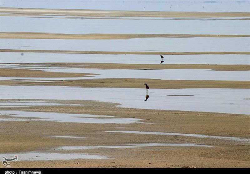 روایت تلخ تالاب میقان ؛ استخراج معدنی چگونه میقان را خشک کرد؟ اخبار اراک , معدن ,