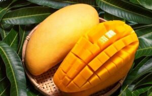 میوهای برای حفظ وزن و کنترل قند خون میوهای برای حفظ وزن و کنترل قند خون