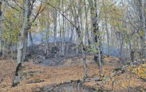 «نجات آب» ــ 52 | صیانت از پوشش گیاهی بالادست حوضه آبریز «نجات آب» ــ 52 | صیانت از پوشش گیاهی بالادست حوضه آبریز