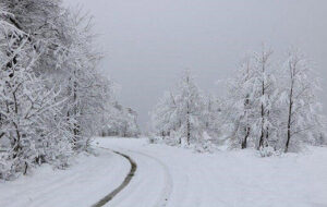هشدار بارشهای سیلآسا و کولاک برف در ۲۱ استان کشور از روز جمعه هشدار بارشهای سیلآسا و کولاک برف در ۲۱ استان کشور از روز جمعه