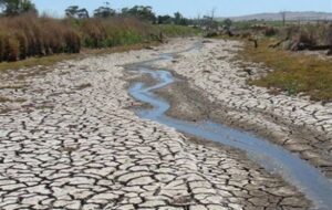 چالشهای پیچیده زیستمحیطی در غرب ایران/ بحران تله اقلیم! چالشهای پیچیده زیستمحیطی در غرب ایران/ بحران تله اقلیم!