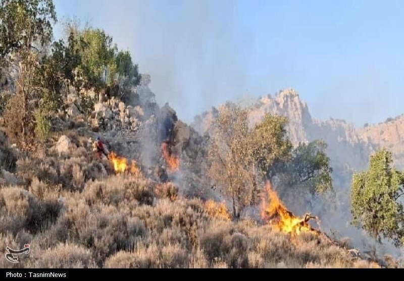 چالشهای پیچیده زیستمحیطی در غرب ایران/ بحران تله اقلیم! اخبار کرمانشاه , اخبار استان کرمانشاه ,