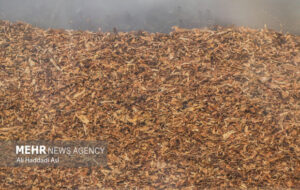 ۲۷ درصد بازار سیگار و ۹۳ درصد بازار تنباکو در اختیار قاچاقچیان است ۲۷ درصد بازار سیگار و ۹۳ درصد بازار تنباکو در اختیار قاچاقچیان است