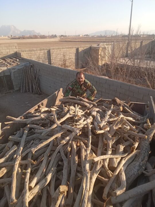 ۵ تُن چوب و ۵۵۰ کیلو زغال تاغ در فلاورجان کشف و ضبط شد ۵ تُن چوب و ۵۵۰ کیلو زغال تاغ در فلاورجان کشف و ضبط شد