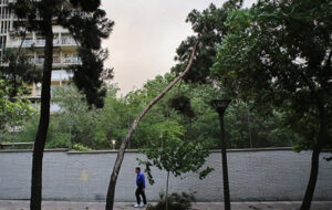 افزایش محسوس دما در شمالغرب و استانهای ساحلی خزر/ وزش باد شدید در برخی استانها افزایش محسوس دما در شمالغرب و استانهای ساحلی خزر/ وزش باد شدید در برخی استانها