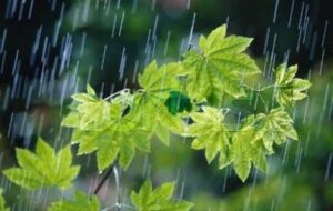 باران و وزش باد شدید در ۶ استان/بارش برف در ارتفاعات باران و وزش باد شدید در ۶ استان/بارش برف در ارتفاعات