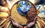 بازارهای جهانی غلات بر سر دوراهی؛ فراوانی، رقابت و توهم ثبات