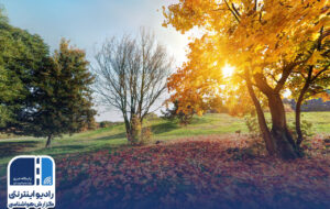 بشنوید| جوی آرام و پایدار در اکثر مناطق کشور بشنوید| جوی آرام و پایدار در اکثر مناطق کشور