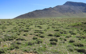 تقویت اعتبار احیای مراتع| طرح احاله مدیریت ۱۰ ایستگاه تولید بذر مرتعی تقویت اعتبار احیای مراتع| طرح احاله مدیریت ۱۰ ایستگاه تولید بذر مرتعی