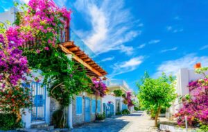 تور ترکیبی ازمیر + کوشی آداسی چند ؟ ( جدول) تور ترکیبی ازمیر + کوشی آداسی چند ؟ ( جدول)