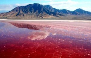 تور هوایی چابهار چند؟ ( جدول) تور هوایی چابهار چند؟ ( جدول)