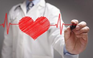 توصیههای طب ایرانی برای تقویت قلب توصیههای طب ایرانی برای تقویت قلب