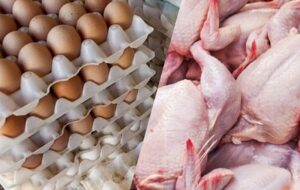 جزئیات کاهش قیمت مرغ، تخم مرغ و گوشت قرمز در بازار جزئیات کاهش قیمت مرغ، تخم مرغ و گوشت قرمز در بازار