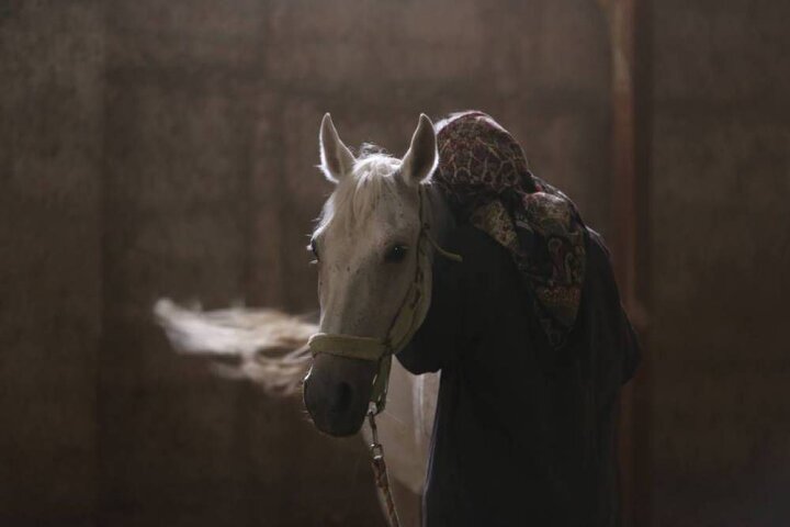 «حال خوب زن» روایت ترس، عشق و بازسازی رابطه است «حال خوب زن» روایت ترس، عشق و بازسازی رابطه است