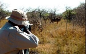 رشد ۳۴۷ درصدی کشف تخلفات شکار و صید غیرمجاز در تهران طی سال جاری رشد ۳۴۷ درصدی کشف تخلفات شکار و صید غیرمجاز در تهران طی سال جاری