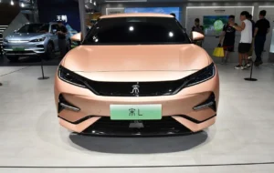 سقوط آزاد بیوایدی در ژانویه سقوط آزاد بیوایدی در ژانویه