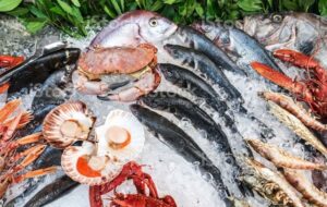 صادرات محصولات شیلاتی ایران به 61 کشور جهان صادرات محصولات شیلاتی ایران به 61 کشور جهان