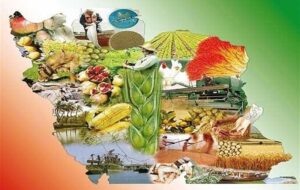 طرح ملی تنظیم بازار یکچارچه بخش کشاورزی آغاز شد طرح ملی تنظیم بازار یکچارچه بخش کشاورزی آغاز شد