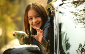 «قایق سواری در تهران» و «نیمشب» پروانه نمایش گرفتند «قایق سواری در تهران» و «نیمشب» پروانه نمایش گرفتند