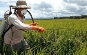 قیمت تولیدی سموم کشاورزی تا ۶۰درصد افزایش یافت | پیش بینی رشد ۵درصدی بازارجهانی در۲۰۲۶ قیمت تولیدی سموم کشاورزی تا ۶۰درصد افزایش یافت | پیش بینی رشد ۵درصدی بازارجهانی در۲۰۲۶