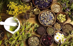 مصرف خودسرانه فرآوردههای گیاهی خطرناک است مصرف خودسرانه فرآوردههای گیاهی خطرناک است