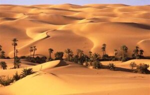 «نجات آب» ــ 69| حمایت از زنجیره ارزش پایدار محصولات در مناطق خشک «نجات آب» ــ 69| حمایت از زنجیره ارزش پایدار محصولات در مناطق خشک