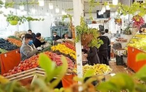 ورود میوه به کالابرگ از 15 اسفند ورود میوه به کالابرگ از 15 اسفند