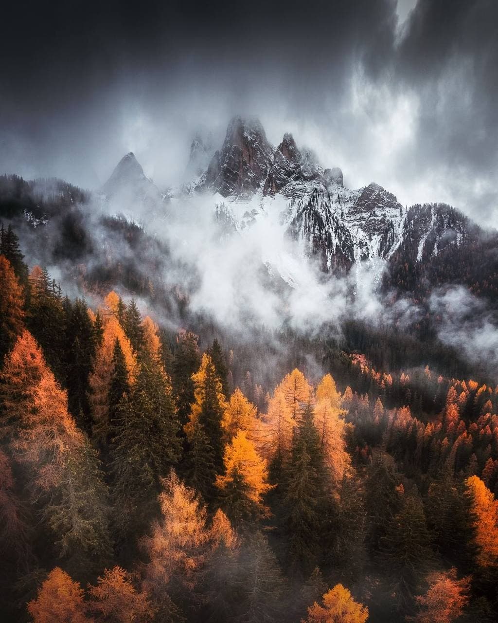 پاییز رنگارنگ اتریش + عکس پاییز رنگارنگ اتریش + عکس