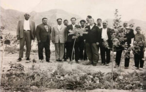 پرداختن به دغدغه اتحاد و محیط زیست؛ چگونه درختان شهر را نجات دادند؟ پرداختن به دغدغه اتحاد و محیط زیست؛ چگونه درختان شهر را نجات دادند؟