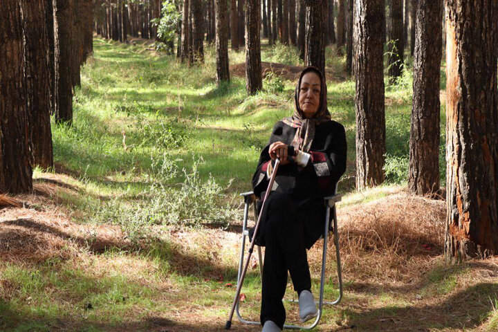 پرداختن به دغدغه اتحاد و محیط زیست؛ چگونه درختان شهر را نجات دادند؟ پرداختن به دغدغه اتحاد و محیط زیست؛ چگونه درختان شهر را نجات دادند؟