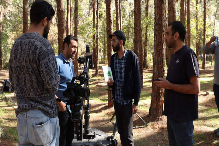 پرداختن به دغدغه اتحاد و محیط زیست؛ چگونه درختان شهر را نجات دادند؟ پرداختن به دغدغه اتحاد و محیط زیست؛ چگونه درختان شهر را نجات دادند؟