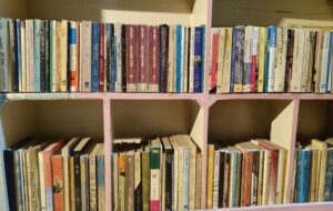 چرا بعضی کتابها کمیاب یا نایاب میشوند؟ چرا بعضی کتابها کمیاب یا نایاب میشوند؟