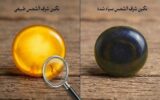 چرا شرف الشمس سیاه می شود؟ ۵ علت تغییر رنگ شرف الشمس زرد