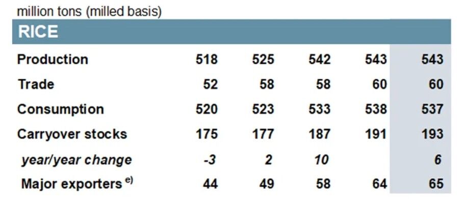 چشم انداز تولید غلات در ۲۰۲۶؛ تجارت برنج به اوج خود می رسد