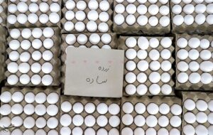 کاهش قیمت تخم مرغ در بازار کاهش قیمت تخم مرغ در بازار