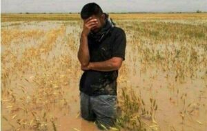 اختصاص 30 همت برای جبران خسارات کشاورزان اختصاص 30 همت برای جبران خسارات کشاورزان