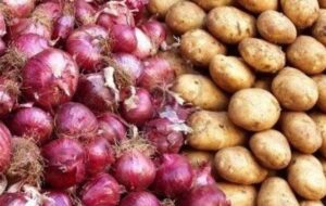 افزایش عرضه سیب زمینی به شهرهای مسافرپذیر با توقف صادرات افزایش عرضه سیب زمینی به شهرهای مسافرپذیر با توقف صادرات