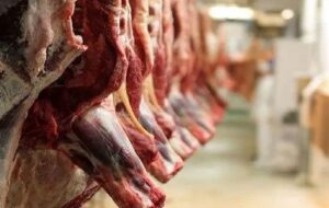 ترخیص گوشت در بنادر و استانهای مرزی بدون مشکل ترخیص گوشت در بنادر و استانهای مرزی بدون مشکل