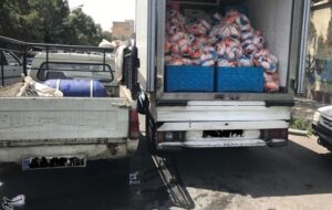 تسریع حمل نهادههای دامی از بنادر ضروری است تسریع حمل نهادههای دامی از بنادر ضروری است