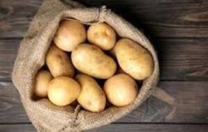 تشکیل پرونده قضایی برای گران فروشی سیب زمینی تشکیل پرونده قضایی برای گران فروشی سیب زمینی