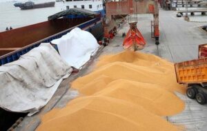 جهش تاریخی قیمت جهانی گندم و روغن در پی بحران خاورمیانه جهش تاریخی قیمت جهانی گندم و روغن در پی بحران خاورمیانه