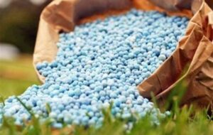 رشد 89 درصدی قیمت اوره / جهان در آستانه تورم مواد غذایی رشد 89 درصدی قیمت اوره / جهان در آستانه تورم مواد غذایی