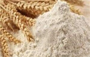 روزانه 2500 تن آرد در استان تهران توزیع میشود روزانه 2500 تن آرد در استان تهران توزیع میشود