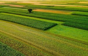 معاون سازمان امور اراضی به شهادت رسید معاون سازمان امور اراضی به شهادت رسید