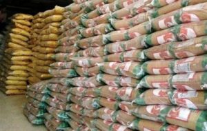 نگران تأمین برنج نیستیم نگران تأمین برنج نیستیم