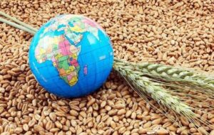 نگرانی شدید امنیت غذایی در عربستان، امارات و قطر نگرانی شدید امنیت غذایی در عربستان، امارات و قطر